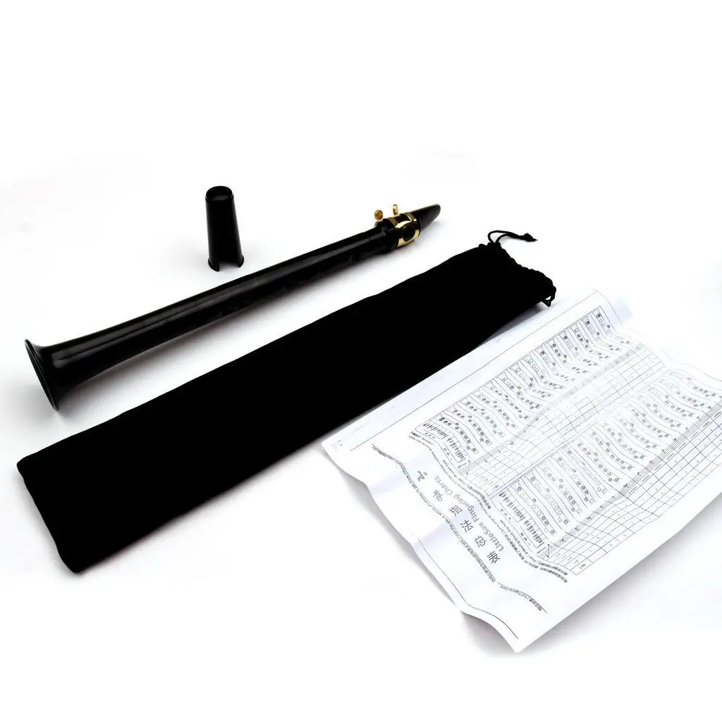 Black Pocket Mini Sax Portable Saxophone Little Saxophone with Carrying Bag