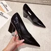 Women Shoes Patent Leather Slip-On Chunky Heels High Heels Women Temperament Pointed Toe Shallow Sexy Wedding Shoes Pumps 2