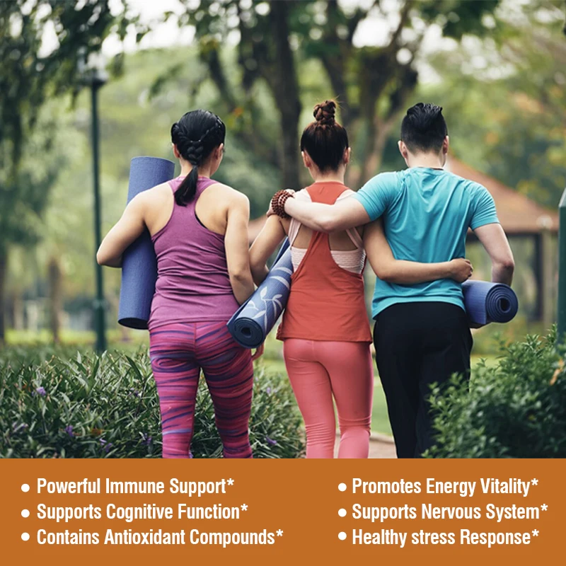 Mushroom Complex Capsules-Lions Mane Chaga Reishi Cordyceps-Support Immune System Memory Focus and Relieve Stress