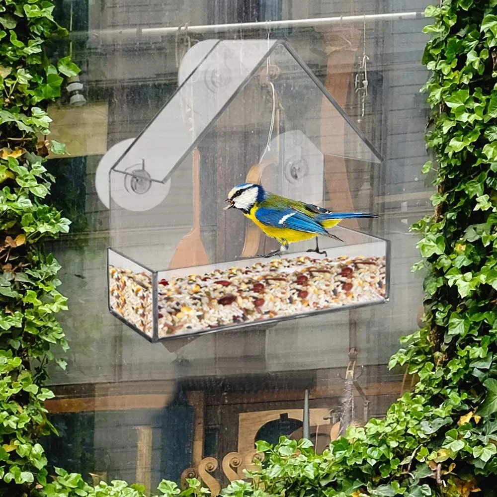 Acrylic Clear Food Feeding House Table Seed Peanut Suction Cup Glass Window Birds Hanging Feeder Birdhouse bird feeder