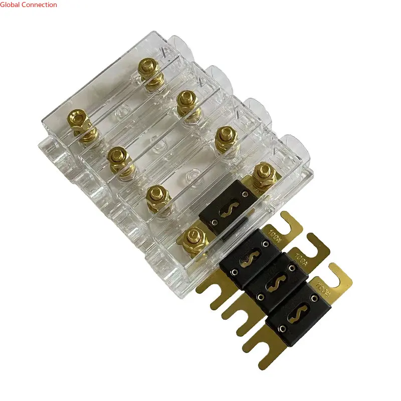 Album Di Laurea Contrazione Orso Polare Fusibili Afc Gioia Dottore In Filosofia - Foto 2