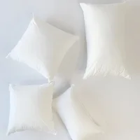 Plain White Square Pillow Napped Cloth Detachable and Washable High Elasticity High Quality Pp Cotton 3D Throw Pillow Core 1