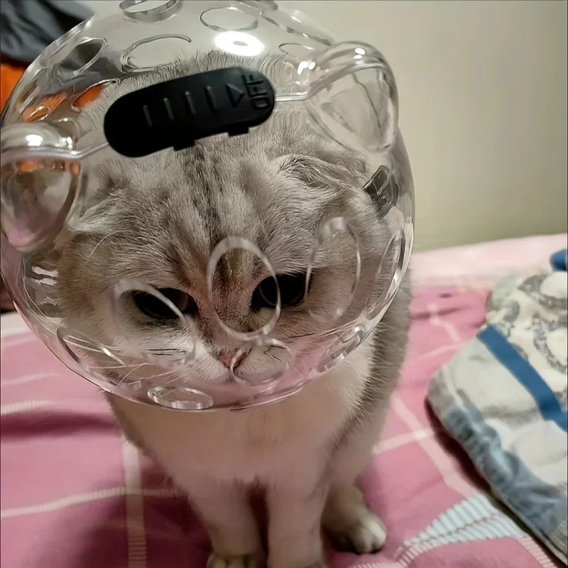 Space Cat Helmet-Breathable Adjustable Transparent Head Cover for Beauty Anti Licking Head Cover Soft and Comfortable Cat Design