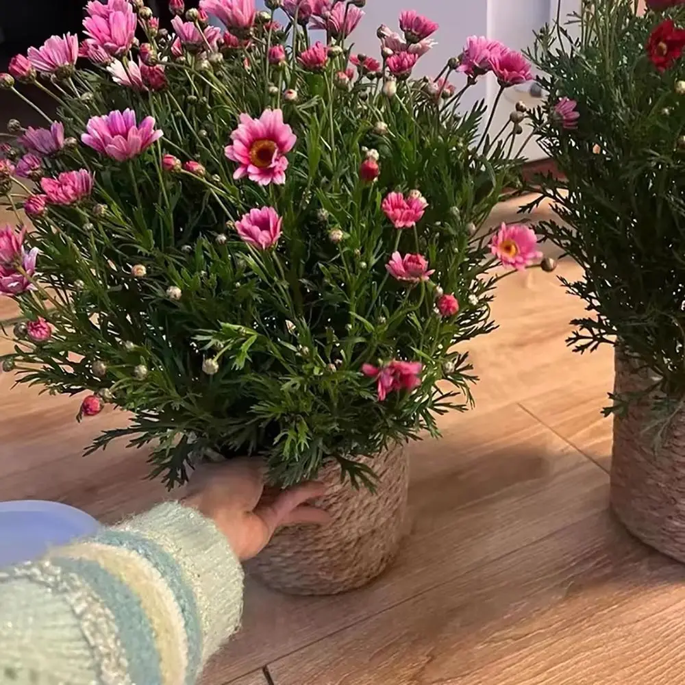 1Pcs Durable Flower Pot Basket Grass Woven Flowerpot Planter Basket Rattan Straw Woven Plant Flower Basket Furniture Decoration