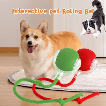 Electric Dog Ball Toys