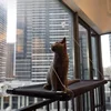 Pet Cat Hanger Foldable Portable Hanging Cats Bed Comfortable Cat Sunshine Window Sill Bedhead Cat Nest Pet Accessories Supplies