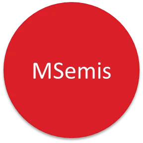 MSemis Store