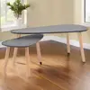 2-Piece Solid Pinewood Coffee Table Set - Elegant Black Finish for Living Room 2