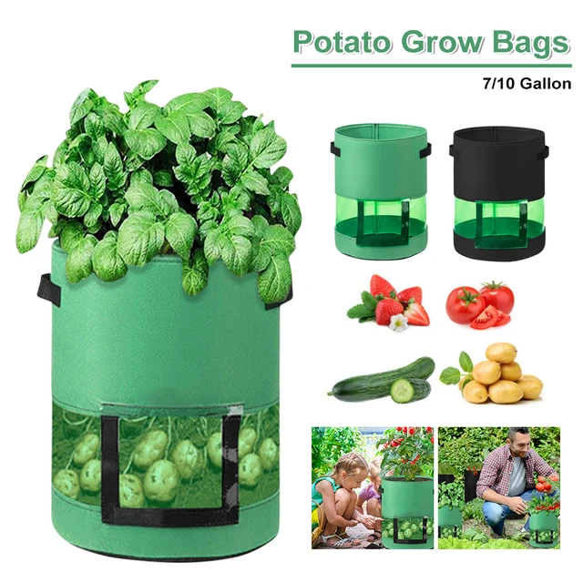 3 Size Felt Plant Grow Bags Nonwoven Fabric Garden Potato Pot Greenhouse  Vegetable Growing Bags Moisturizing Vertical Tools - Grow Bags - AliExpress