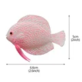 Tropical Fish4