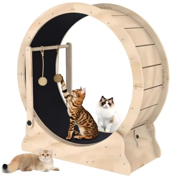Moisture-Proof And Deformable Small Pet Treadmill Running Wheel