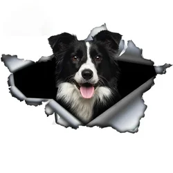 Funny Pet Dog Border Collie Decal Car Sticker Original Design  Car Trunk Bumper Sticker Waterproof and Sunscreen PVC 13*10cm