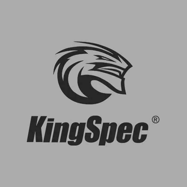 KingSpec SSD Factory Store