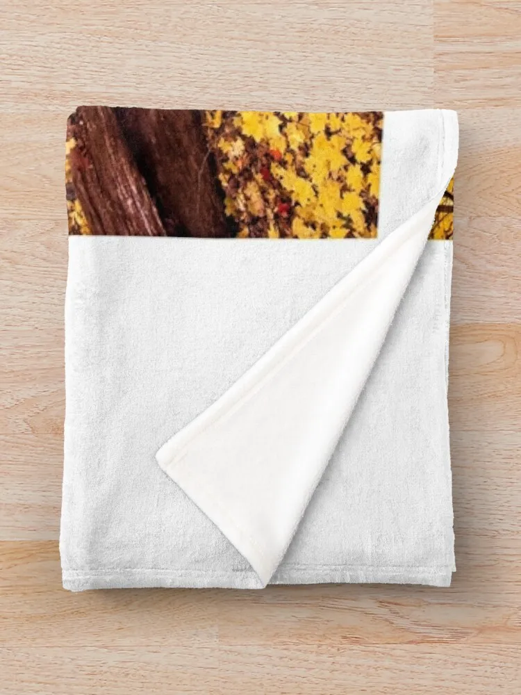 ���� Ʈ����, UW �����, �ŵ�, WI ���ο� ���, ���� ���� ���, ǫ���� ���� ���, �ڽ����� �ִϸ��̼�