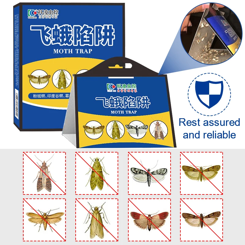 Lutte Contre Les Coléoptères De Farine : Conseils Et Solutions