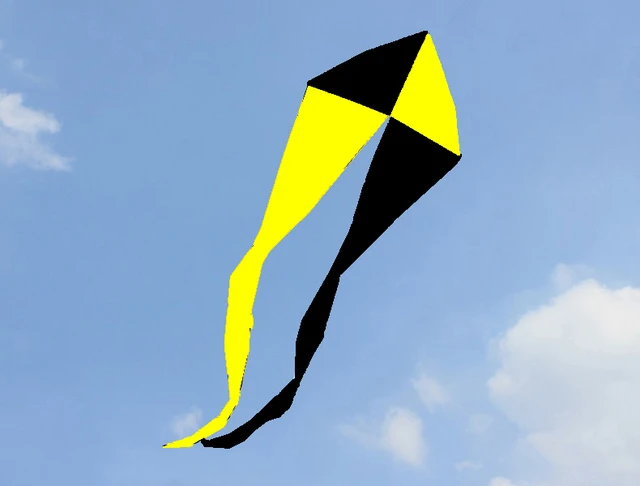 NEW 7m Power Triangle /Delta Kites With Kite Handle and Line Good Flying -  AliExpress