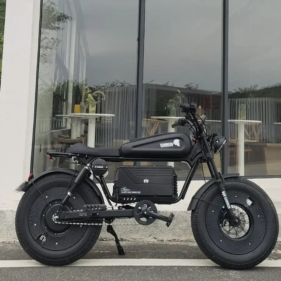 Black 1500W Motorbikes 48V60AH Ebike Adult Road Electric