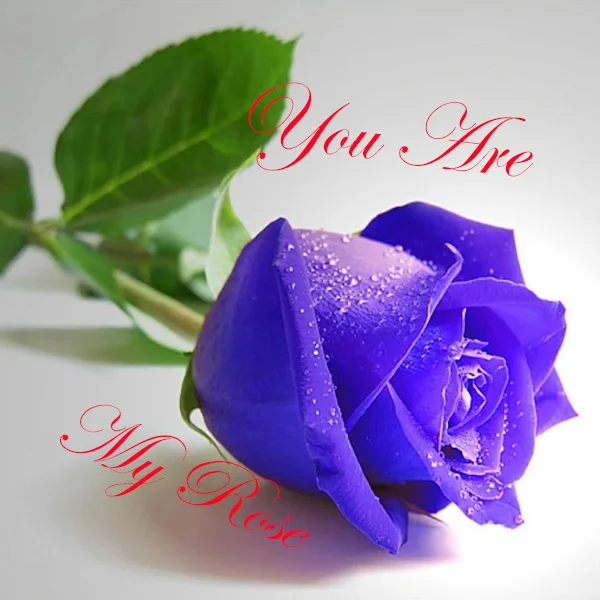 Shop1103664268 Store