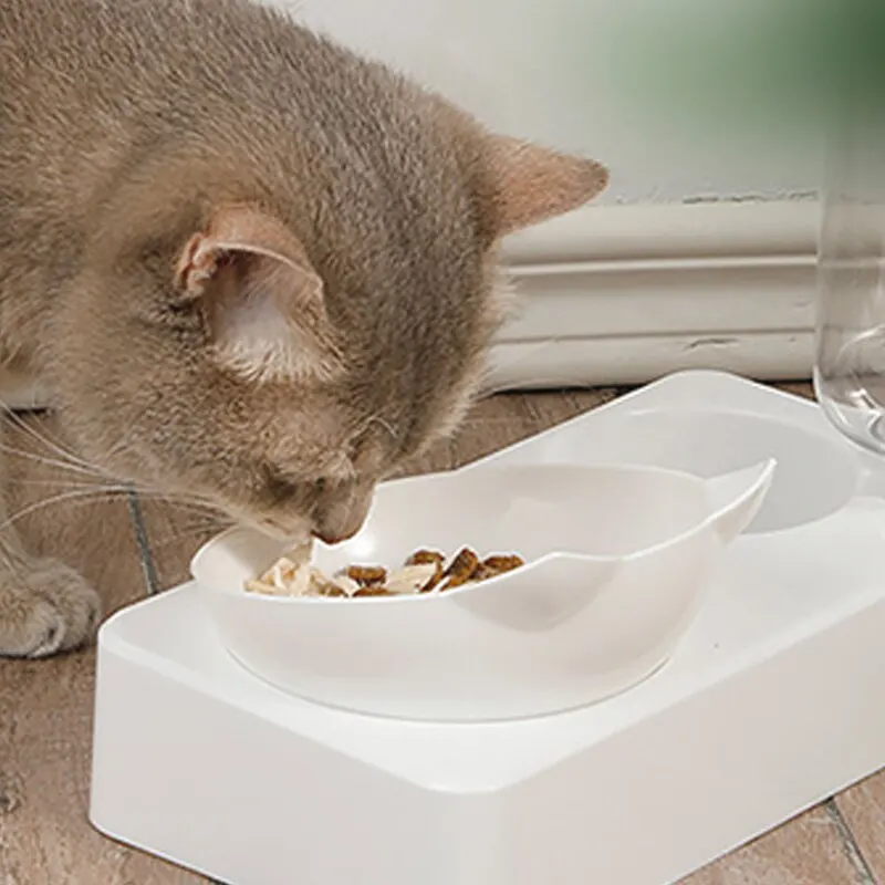 15* Tilted Automatic Drinking/ Feeder Bowl 4