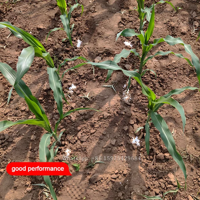 Kukorica Műtrágya Applikátor Rozsdamentes Acél Kézi Eszköz Gyors Megtermékenyítő Mezőgazdasági Zöldségmezőkhöz - Image 3