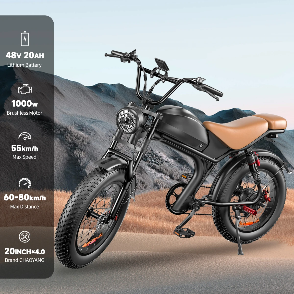 C93 1000W Motor E Bike 48V 20Ah Off Road Electric Bicycle 20"X4" Fat Tire 1000W Motor Ebike 2 Wide Seats electric bike,electric bicycle