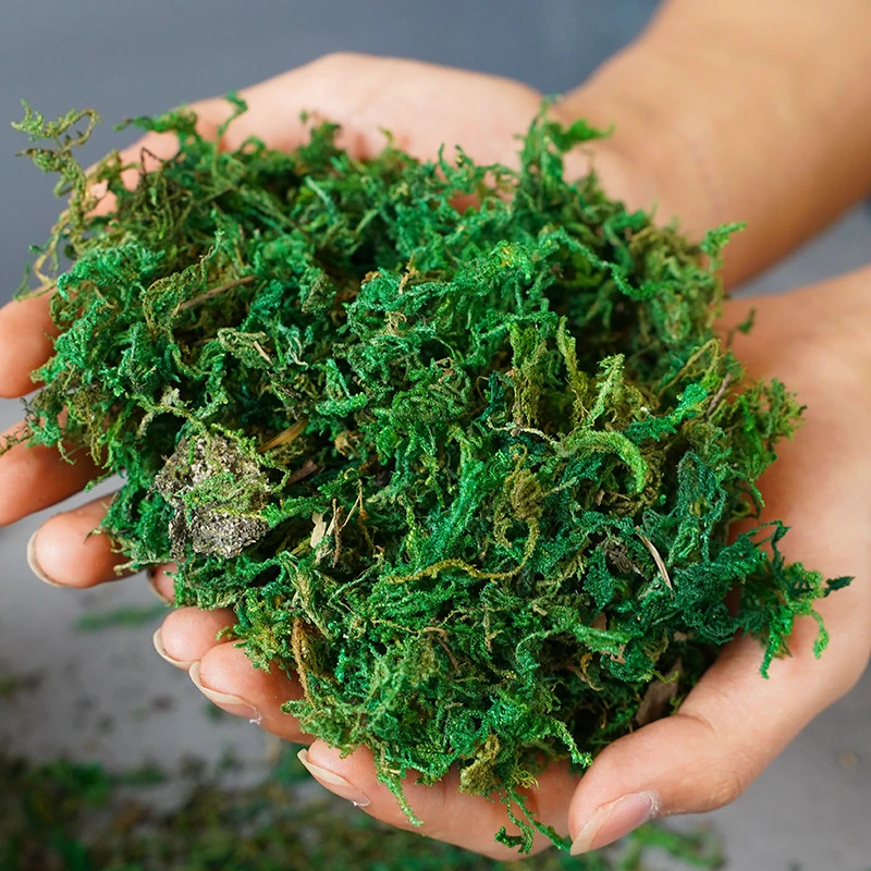 100g Artificial Moss Simulation Plants Immortal Moss Micro Landscape