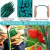 Reusable Plant Support Rod Plant Stakes Vine Climbing Bracket for Potted Plant DIY Handmade Flower Bouquet Stick Garden Supplies 5