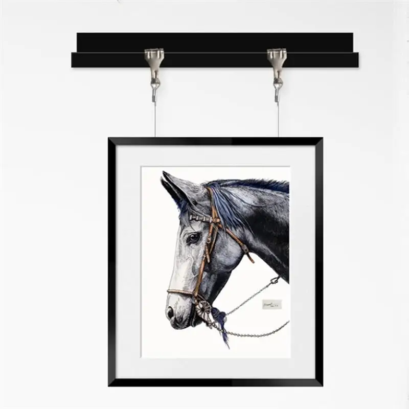 Picture Frame Hangers Hanging Hooks 10pcs Hanging Line Wire Hanger Frame Kit Painting Wire Hooks Rail System Wall Photo Hangers Display Hanging Hooks