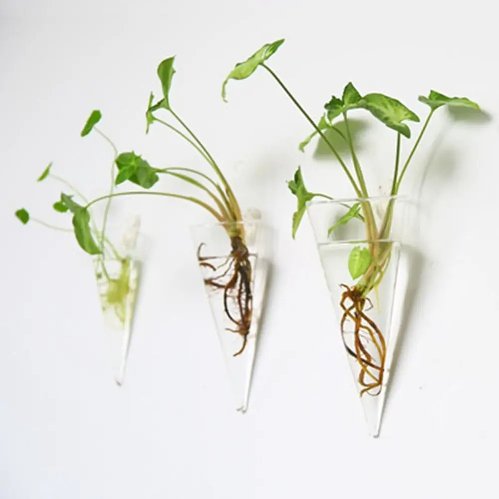 Description Picture 2 of itemFashion Wall Hanging Glass Flower Vase Terrarium Wall Fish Tank Aquarium Container Flower Planter Pots Home Garden Decoration