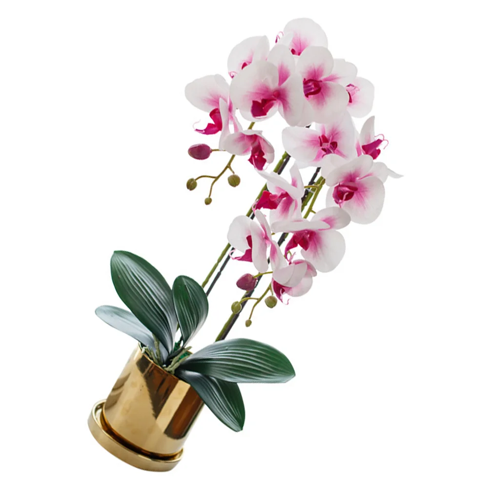 

Simulated Bonsai Decor Desktop Simulation Flower Plant Silk Cloth Vivid Phalaenopsis