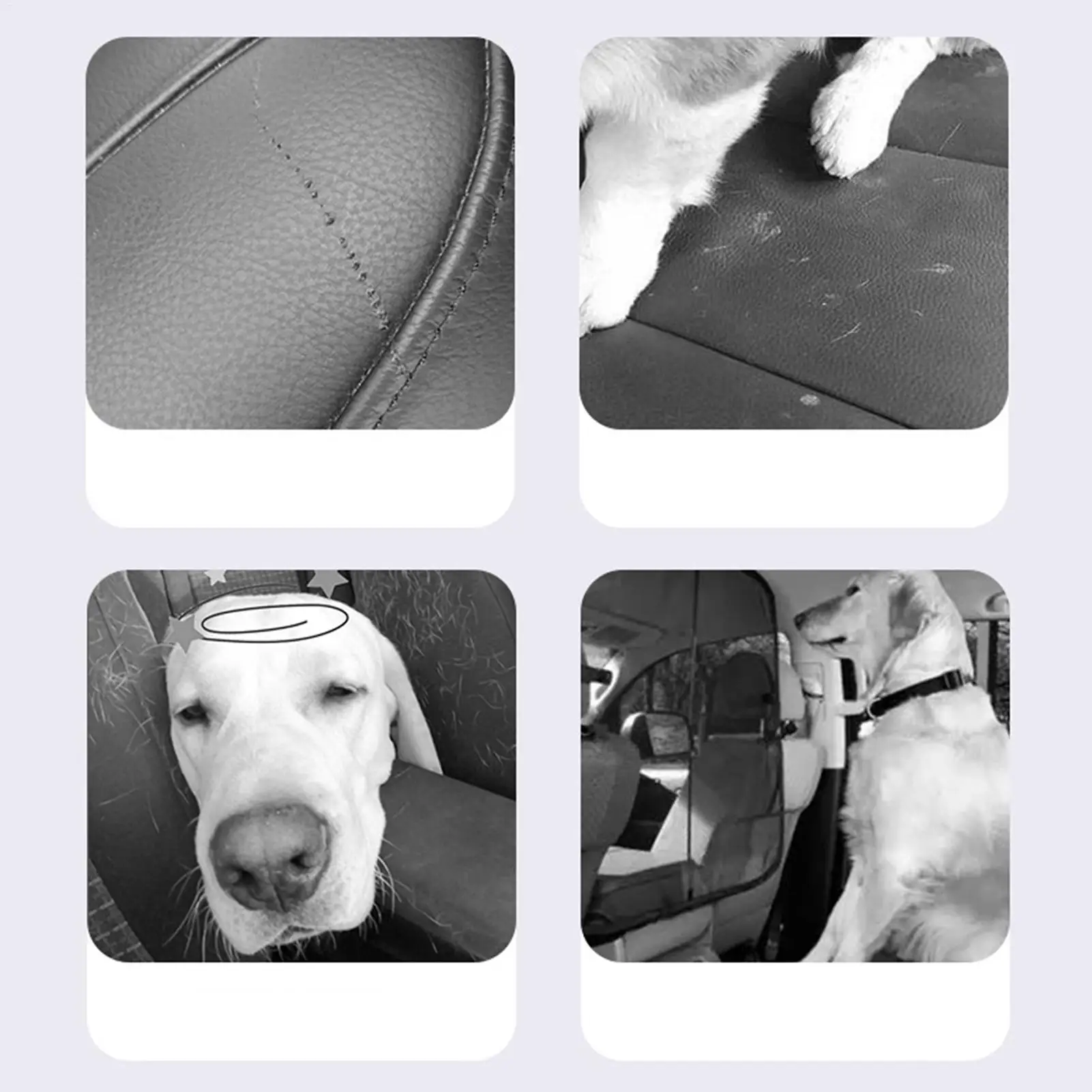 Cestino Trasportino per Animali Domestici Antigraffio, Sedile Auto per Cani Antiscivolo, Cestino Portatile per Gatti, Coprisedile Impermeabile e Resistente per Animali Domestici, da Viaggio - immagine 4