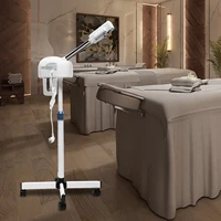 800W professionnel Ozone visage vapeur Spa Salon visage Sauna soins de la peau Machine à vapeur belle Machine de pulvérisation à froid 2
