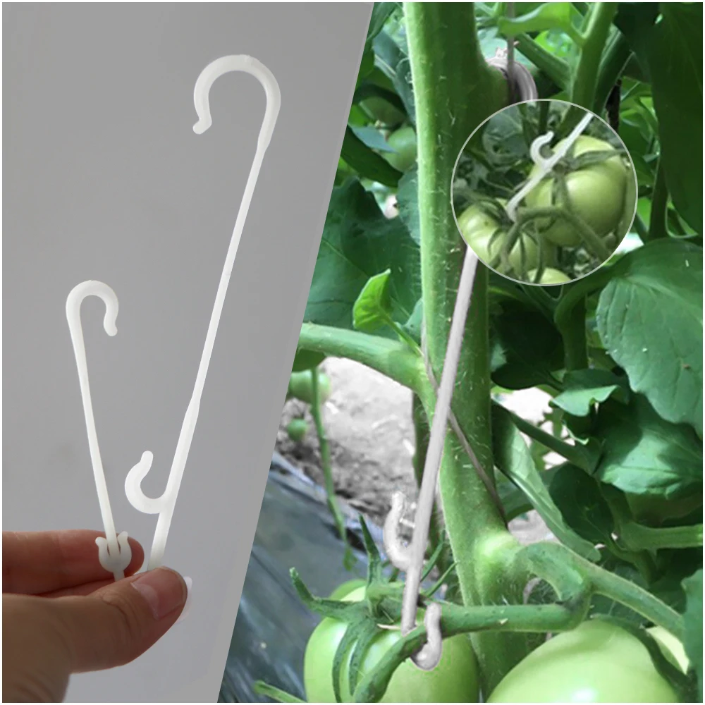 J Shaped Fruit Cherry Tomato Ear Hook Vegetable Plant Support Vines Fastener Clips Trellis Fixed Buckle Hook Garden Accessories