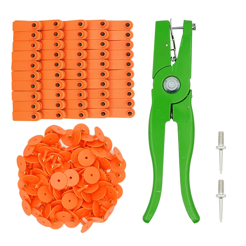 Orange no numbers