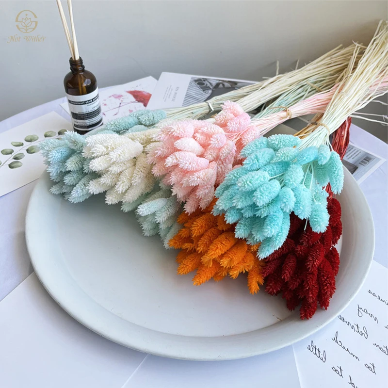 

100PCS Phalaris Dried Flowers for Decoration Bouquet Wedding Flower Arrangement Party Supplies Boho Home Decor Bedroom Ornament