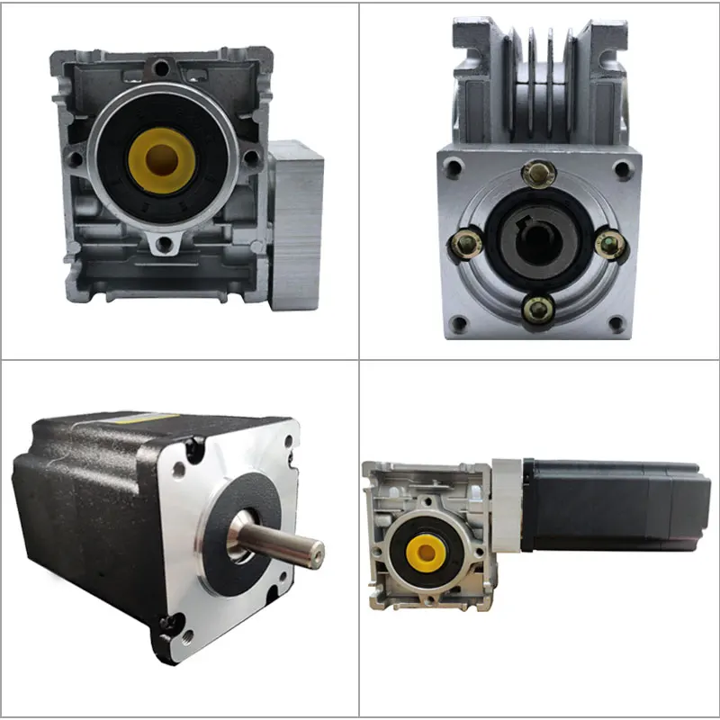 48V 300W brushless DC Motor RV30 Worm Gear Reducer Motor 0.95 N.M Self Locking Small DC Reducer Motor
