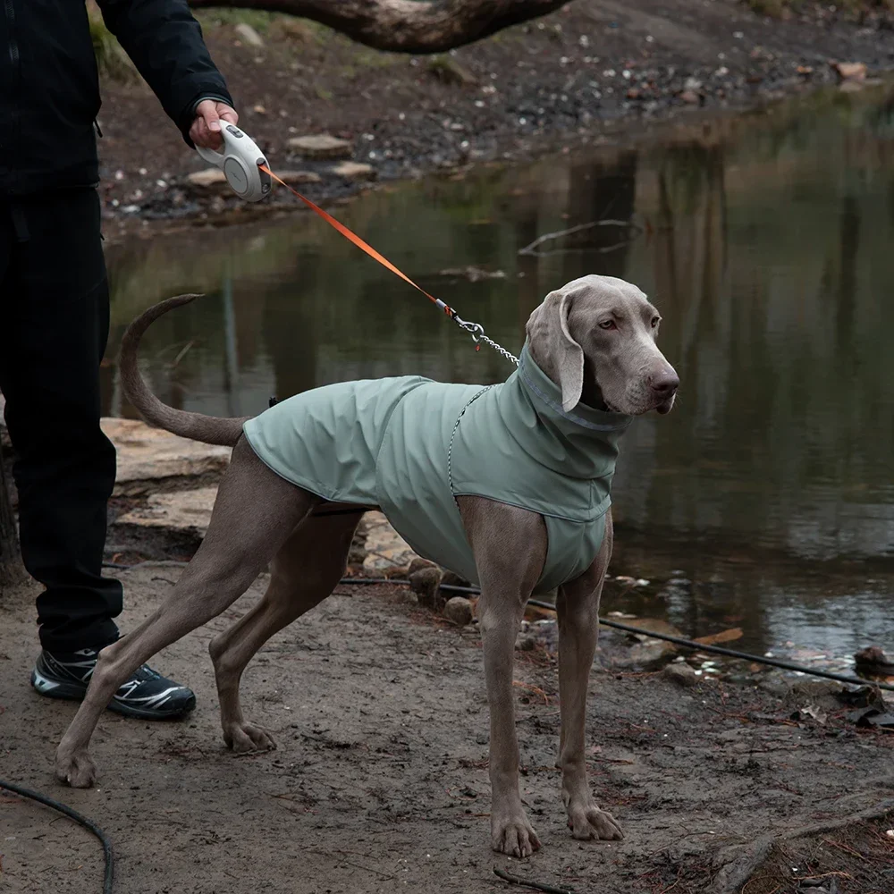 מעיל גשם לכלבים קטנים וגדולים, בגדים עמידים במים לחיות מחמד, מעילי גשם רפלקטיביים עם הוד, מעיל גשם לחיות מחמד, ציוד לבגדים לחיות מחמד