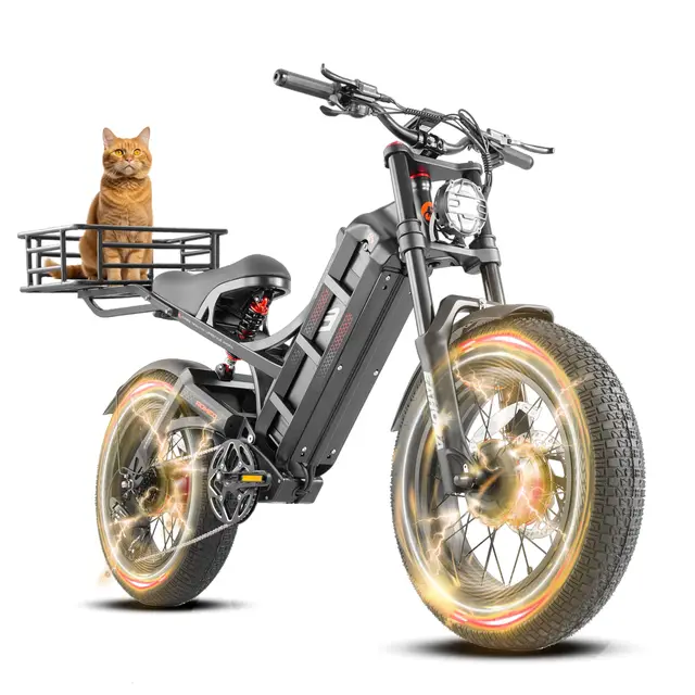 STLF Eahora Romeo Pro Custom Power 200w 100ow 300ow 2*120n-M E Bike 52v 60ah Long Range Electric Bicycle Cargo Electric Bike 2 STLF Eahora Romeo Pro Custom Power 200w 100ow 300ow 2*120n-M E Bike 52v 60ah Long Range Electric Bicycle Cargo Electric Bike 2