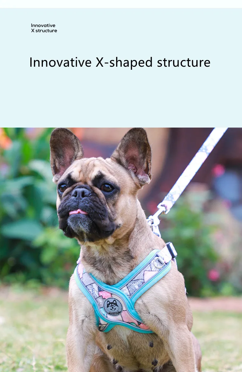 Luminous Adjustable Harness For Dogs - PeticaDeals
