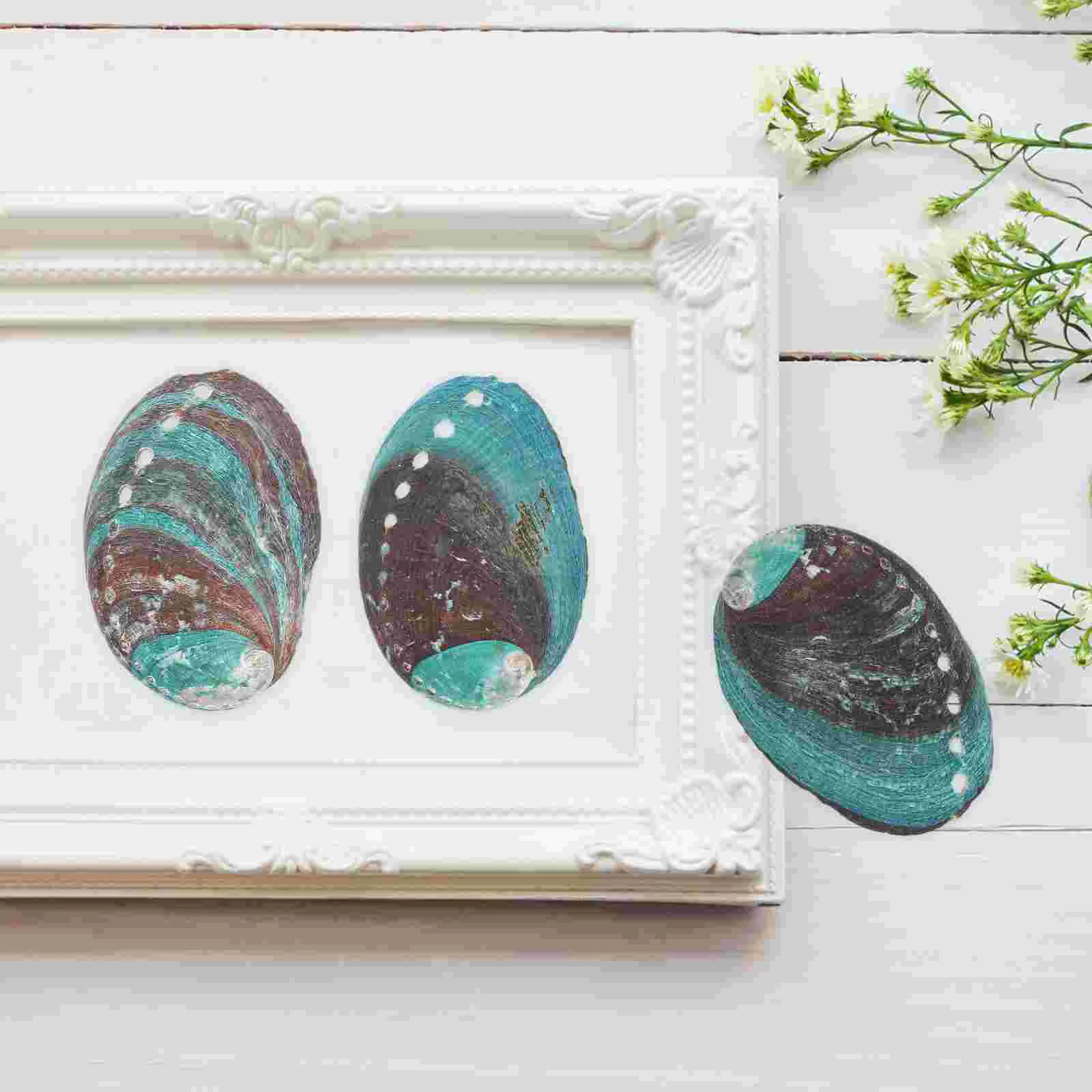 Natural-Shell-Decor-Smudge-Abalone-Decorative-Ornaments-Black-Tray-Sink ...