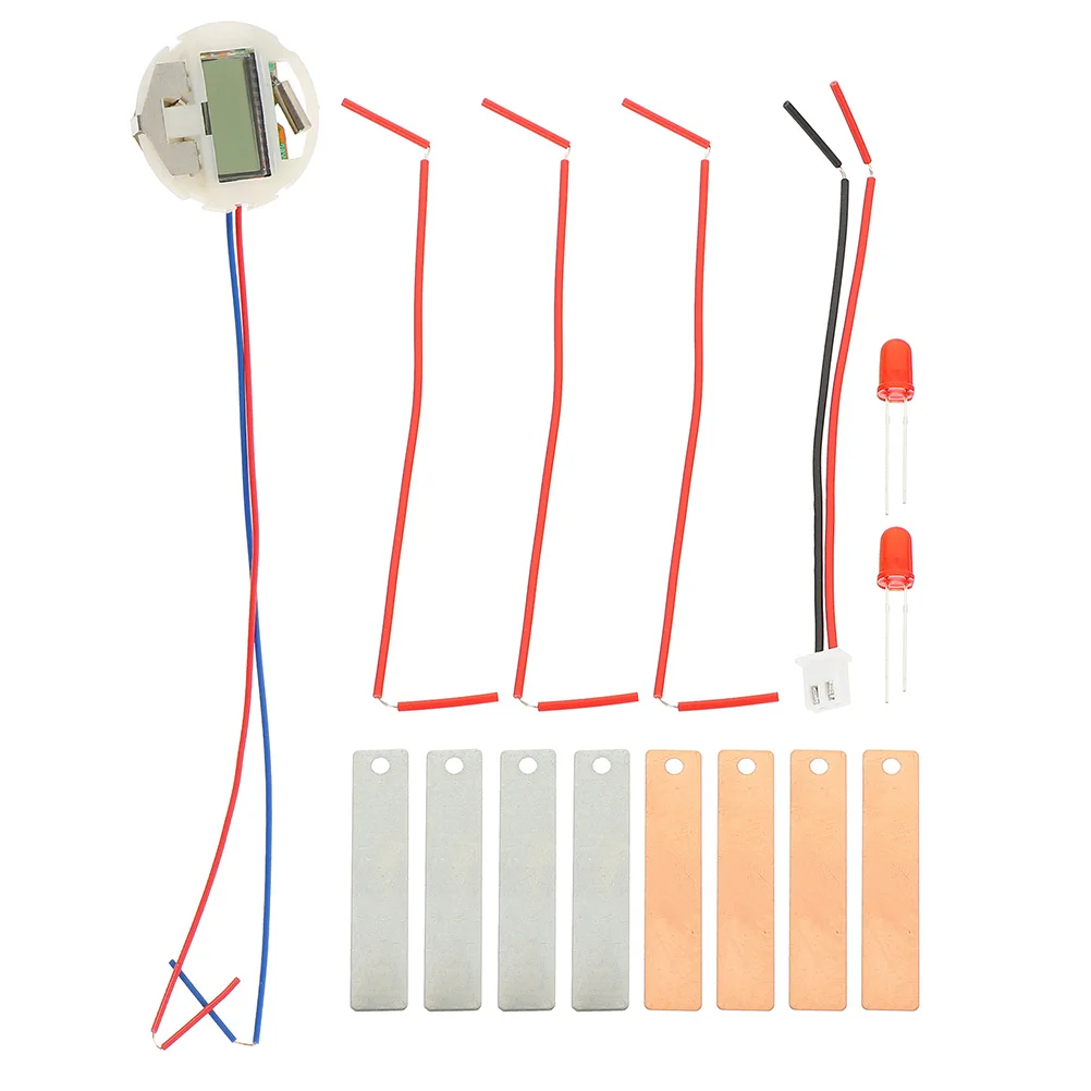 

2 Sets Scientific Experiment Fruit Student DIY Fruit School Student Experiment