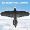 FX9651 RC Airplane 3CH Eagle Remote Control Plane 578mm Wingspan 360° Rotate EPP Foam Aircraft Toys for Children Boys Gifts 5