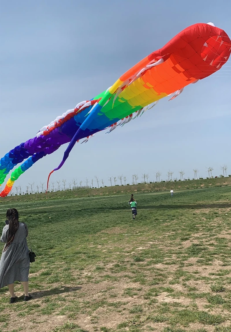 35 m großer alter Trilobiten-Drachen, fliegende Spiele im Freien, professioneller Drachenwagen, Cometa, leuchtende Spielzeuge, Cerf Volant Enfants Cometas – Detail 7