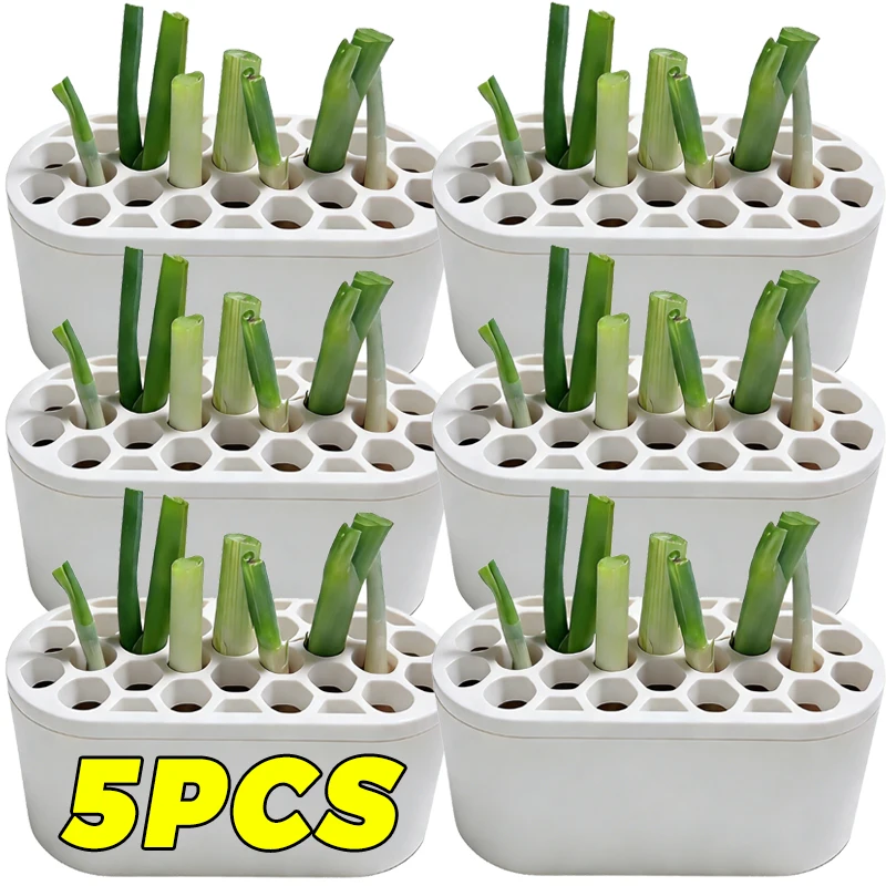 Scallion Chive Hydroponic Box Hydroponic Plant Seedling Tray Plant Soilless Cultivation Germination Tray Vegetable Planting Tool