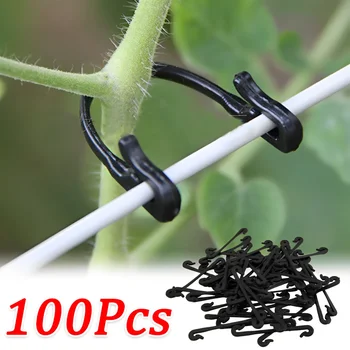 100/50 pezzi piante da giardino clip fisse fibbie pomodoro verdure innesto clip supporto uva clip di vite ganci con fibbia fissa in plastica 1