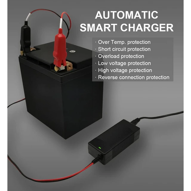 14.6V 10A Smart Charger 12V 10A LiFePO4 battery Charger 110-220V for 4S 12V  12.8V 14.4V Lithium iron battery pack Fast charger - AliExpress