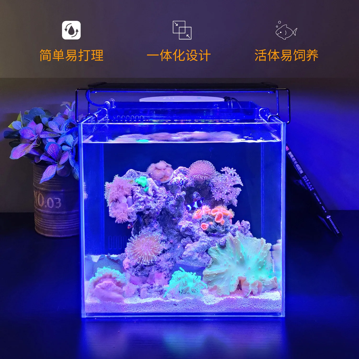 1Fish Tank Aquarium Fish Globe Glass Small Desktop Home Medium and Large Rectangular
