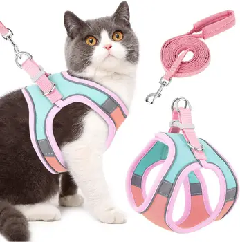 Small Reflective Pet Harness & Leash 1