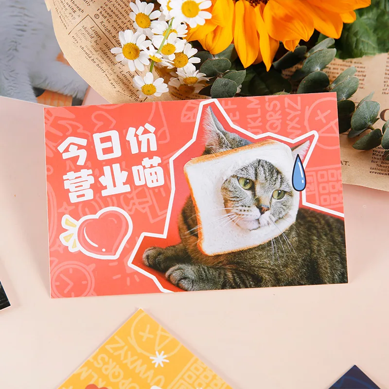 30 Pcs/Set Old Alley Cat Series Postcard Animal Photography DIY Greeting Blessing Cards Hand Account Gift Message Card