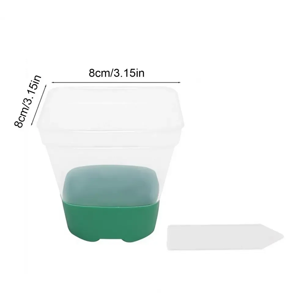 6 plastic square flower pots, transparent planting and seedling pots, reusable, breathable with silicone bottom and label